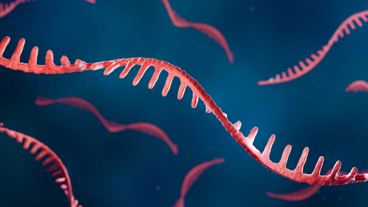 The Enzyme Play That Could Rewrite RNA Manufacturing