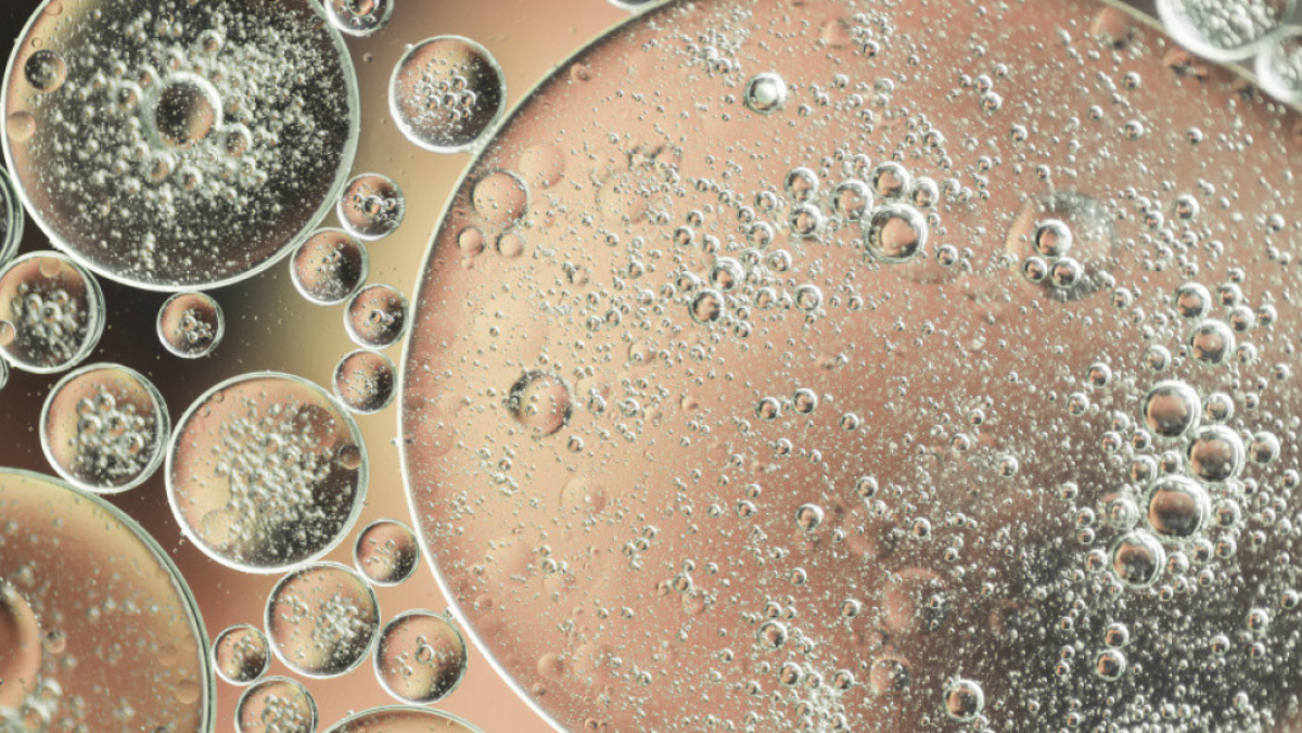 Microscopic bubbles forming in liquid, illustrating microbial fermentation activity