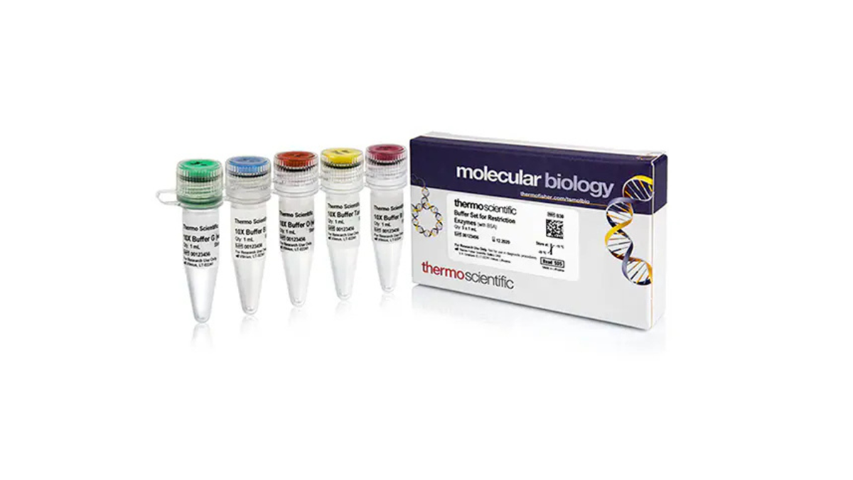 Set of labeled molecular biology buffer tubes beside Thermo Scientific kit box